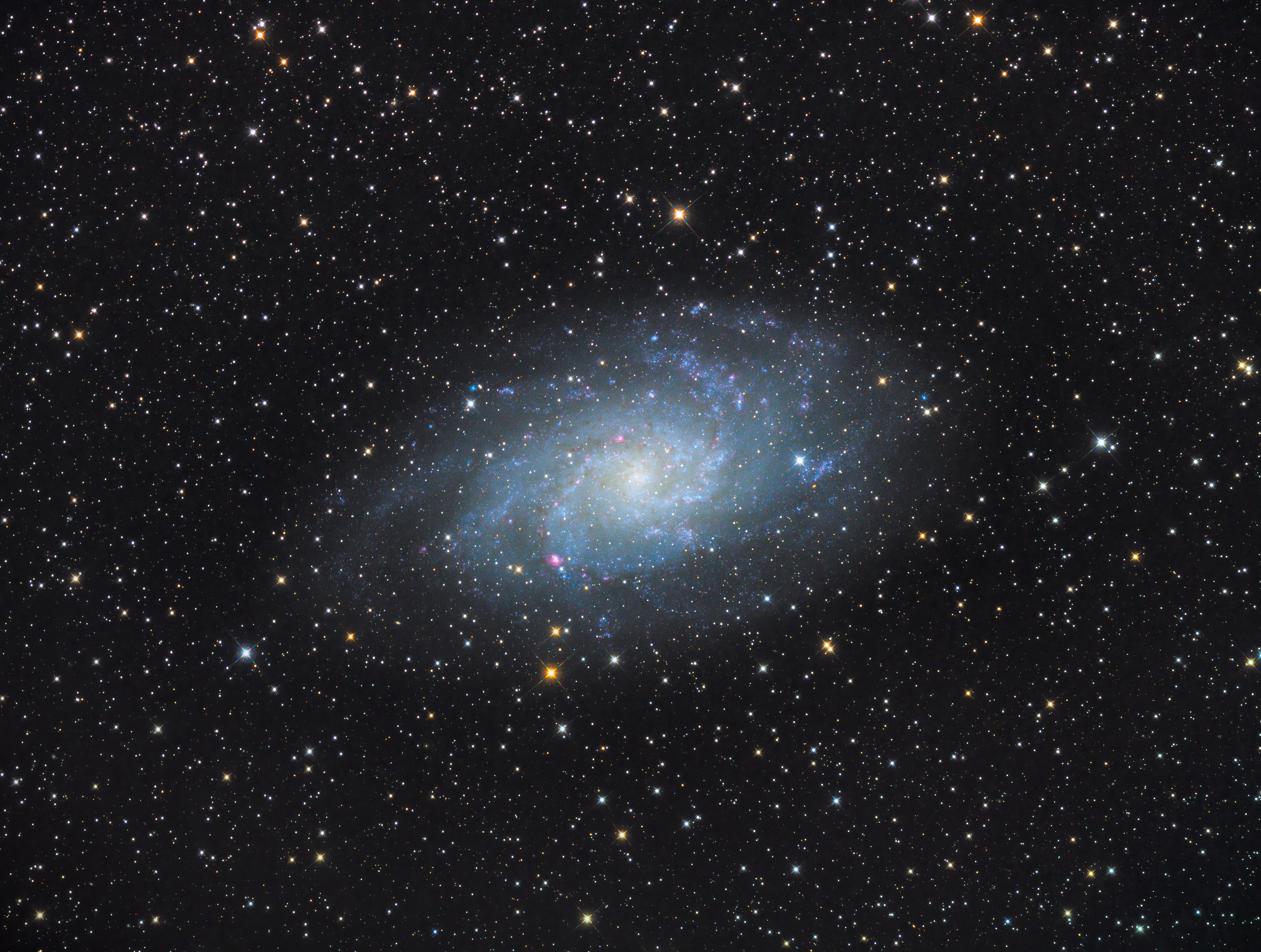 M33